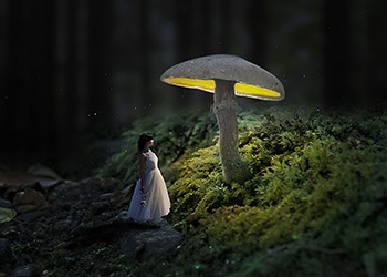 蘑菇少女海报合成